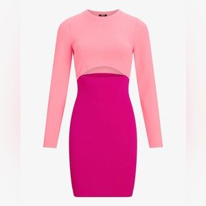 Express Body Contour Long Sleeve Color Block Cutout Mini Sweater Dress | XL